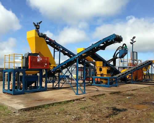 ean cusher plants for sale